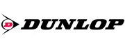 Автомобильные шины Dunlop