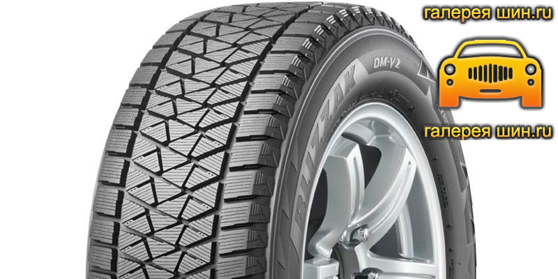 Шины Bridgestone Blizzak DM-V2