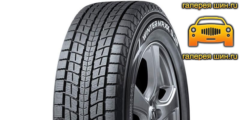 Шины Dunlop Winter Maxx SJ8